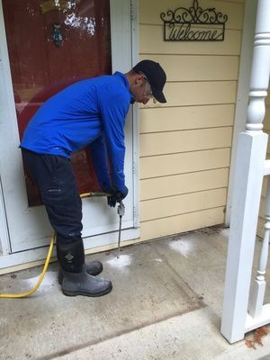 Termite control process